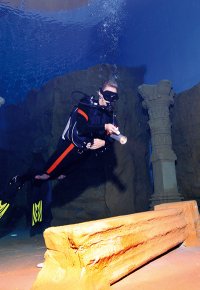 Das Tauchcenter dive4life